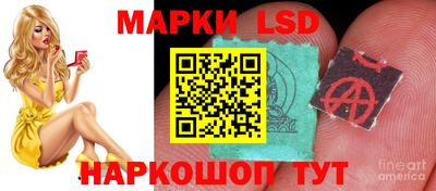 меф Гатчина