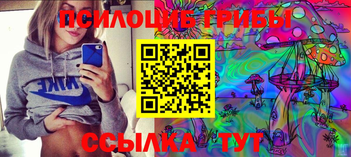 Галлюциногенные грибы Cubensis  Вход с VPN  Мценск 